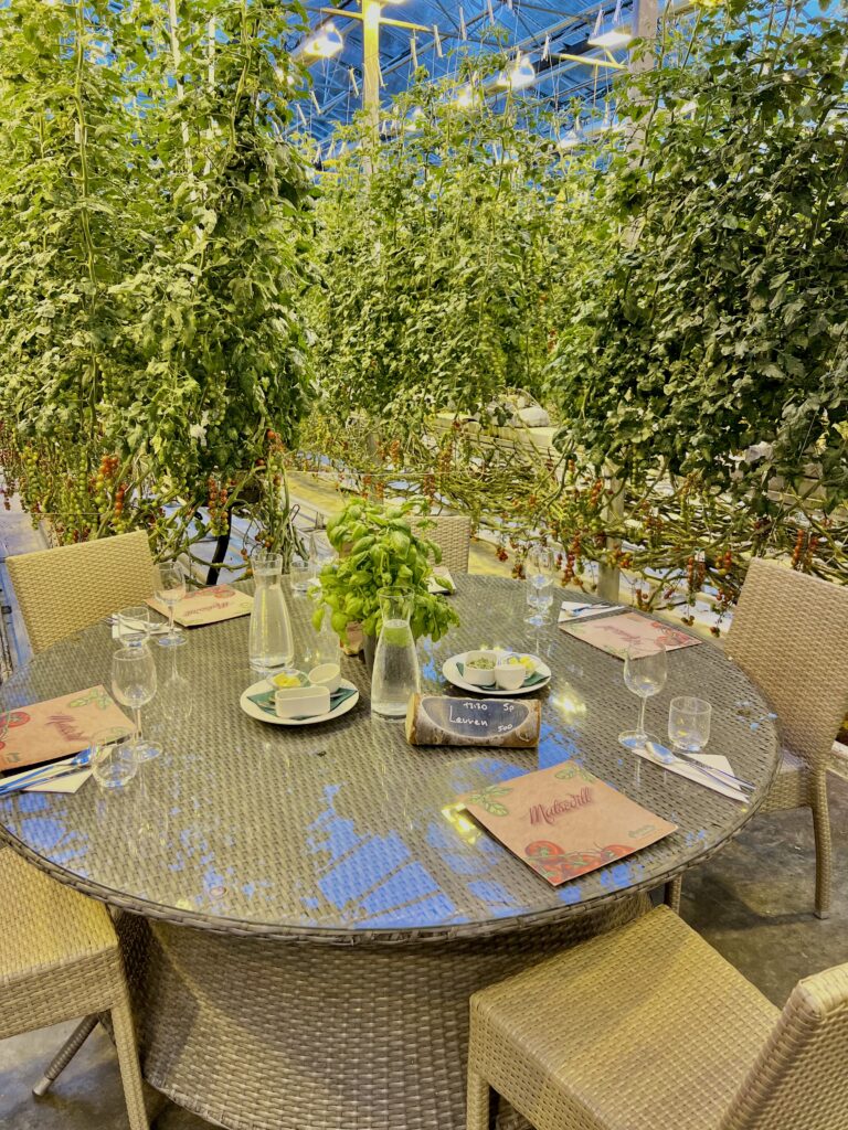 Things to do in Iceland in june