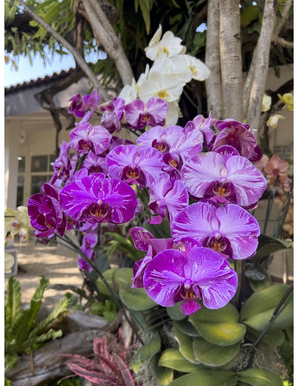 bucket list calendar