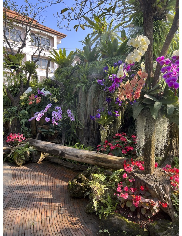 chiang mai food tours