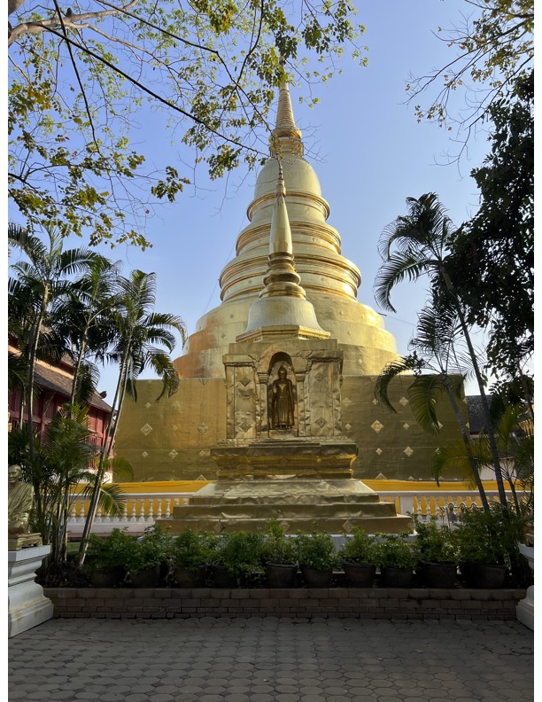 best food in chiang mai old town