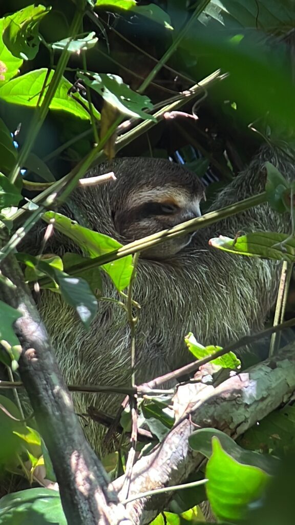 ultimate bucket list ideas