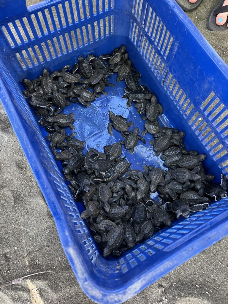 ultimate travel bucket list ideas