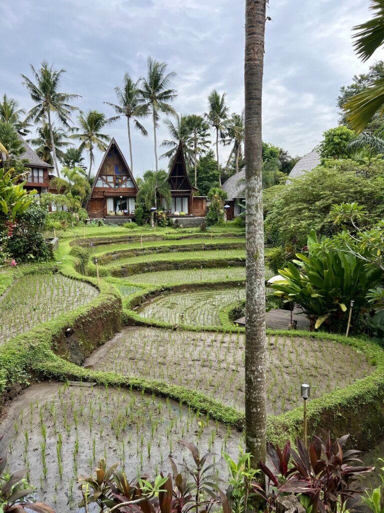 jewelry making, bali, parallel universe, silver-making, silver jewelry, custom jewelry