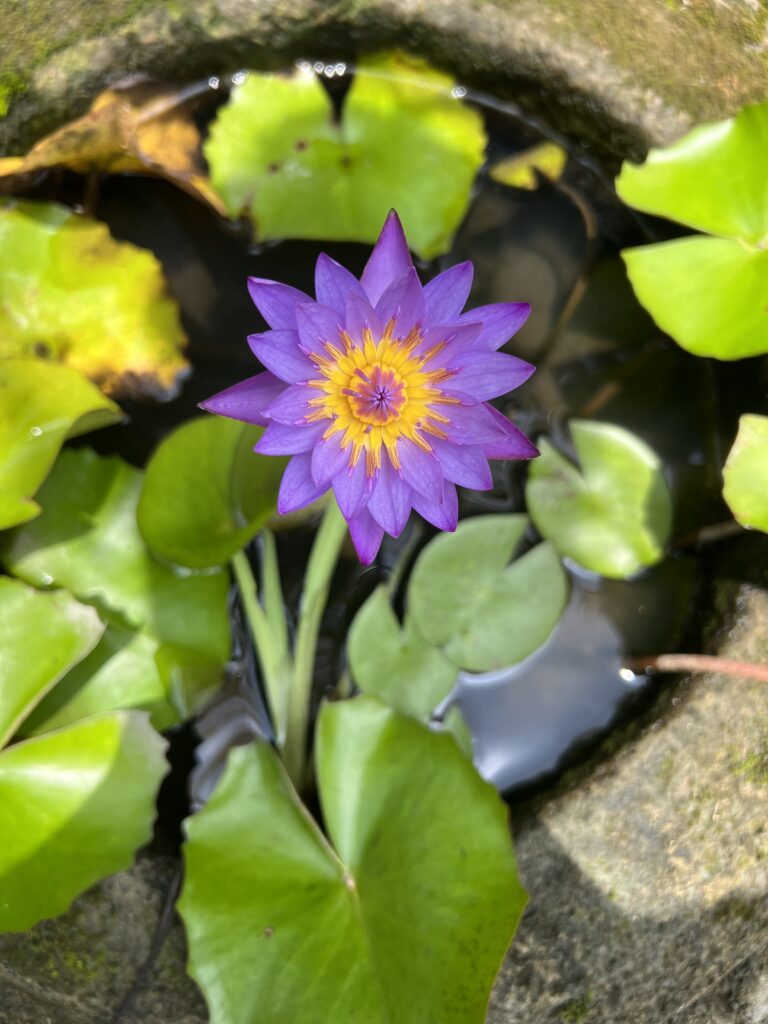 jewelry making, bali, parallel universe, silver-making, silver jewelry, custom jewelry