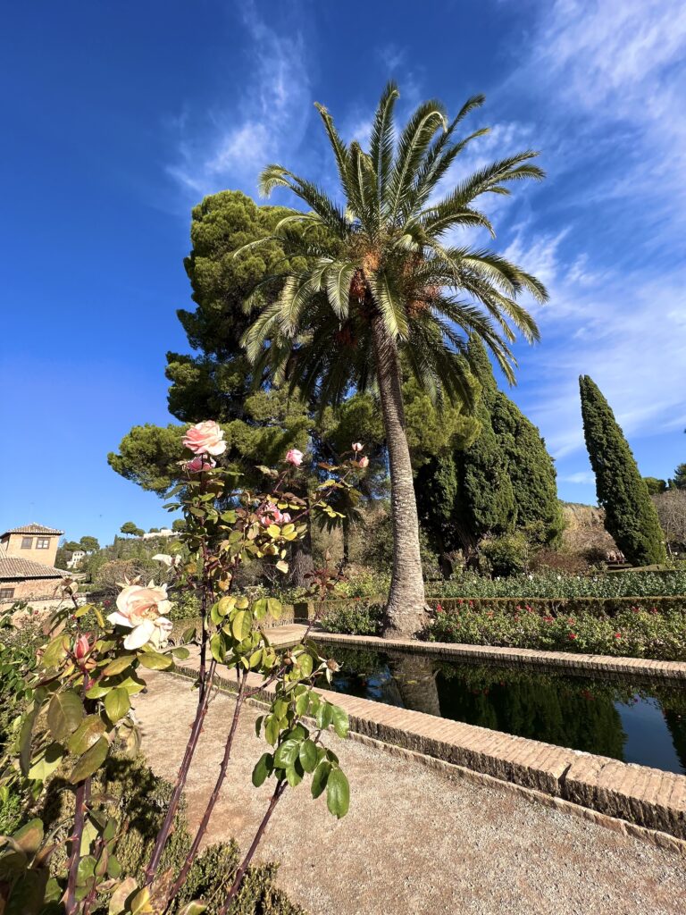 guide to granada spain