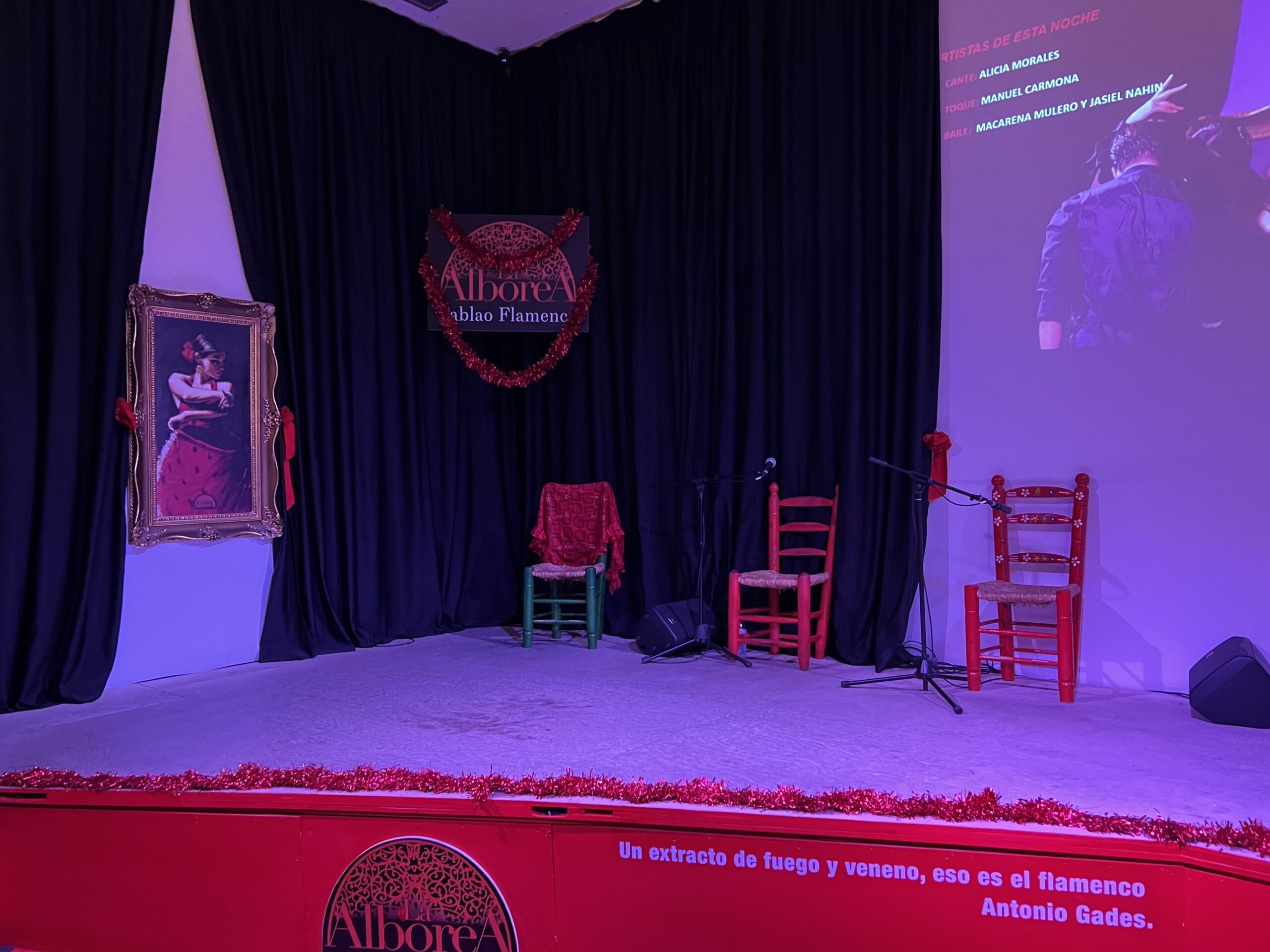 flamenco show in granada spain