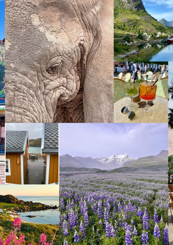 Bucket List: 26 Items for Your 2026 Travel Bucket List