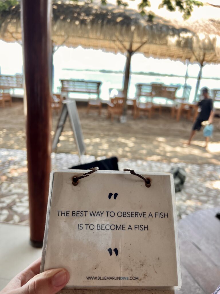 gili islands snorkeling