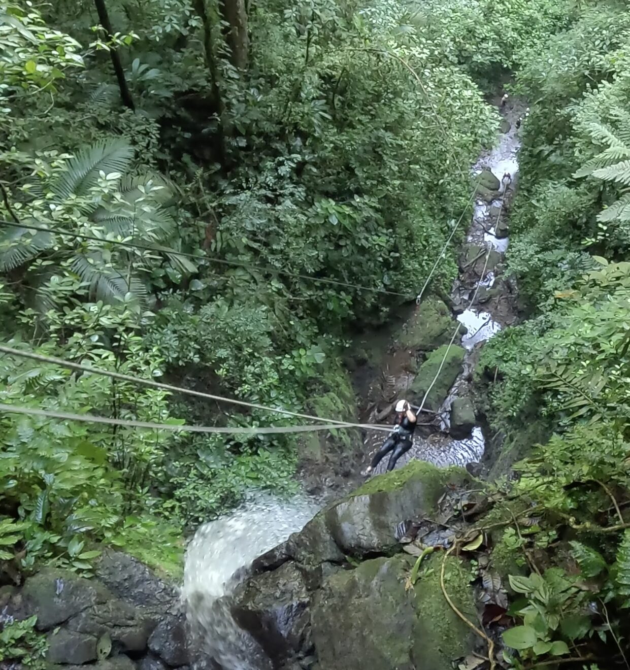 cool things to do in costa rica