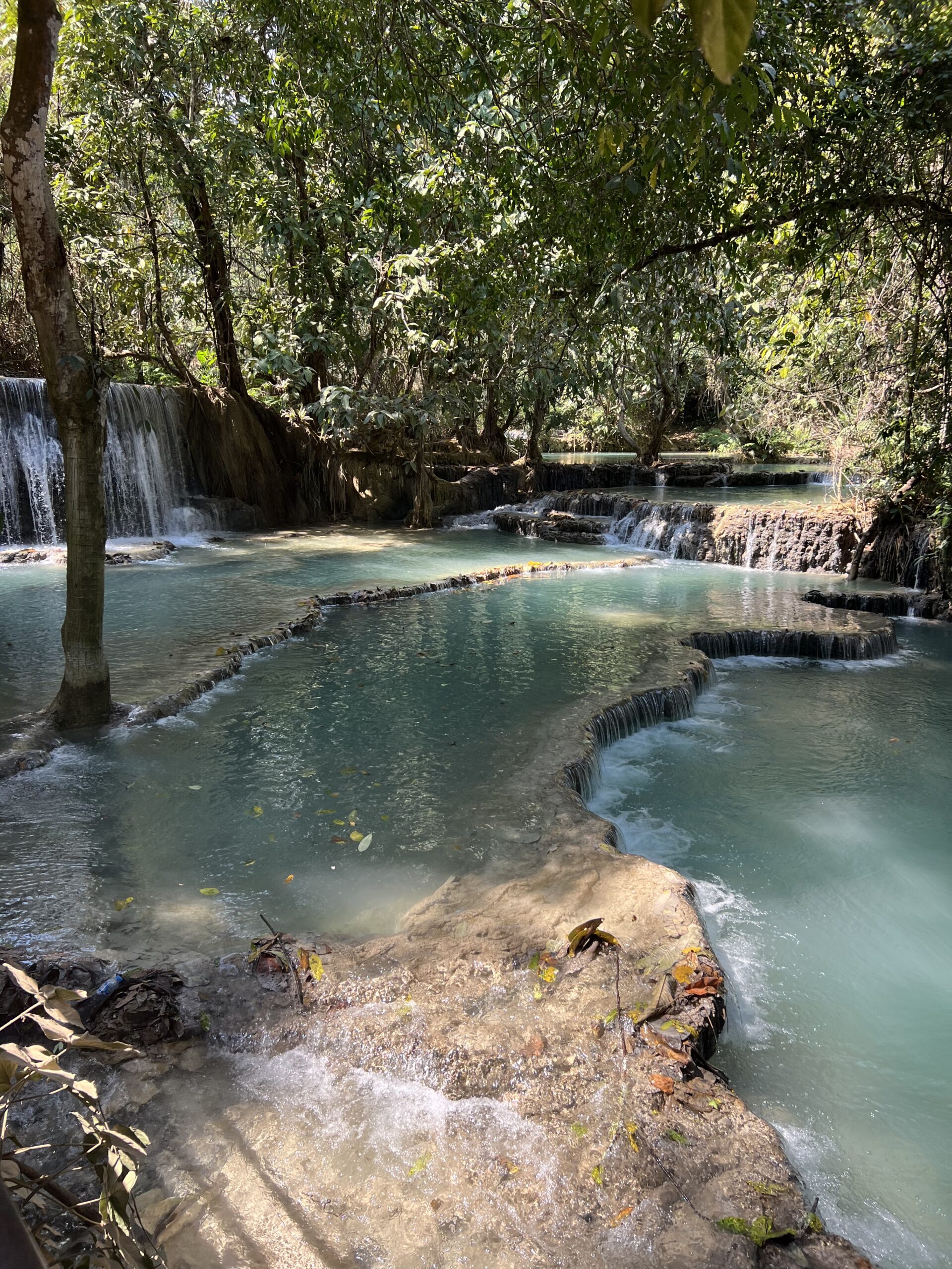 kuang si butterfly park