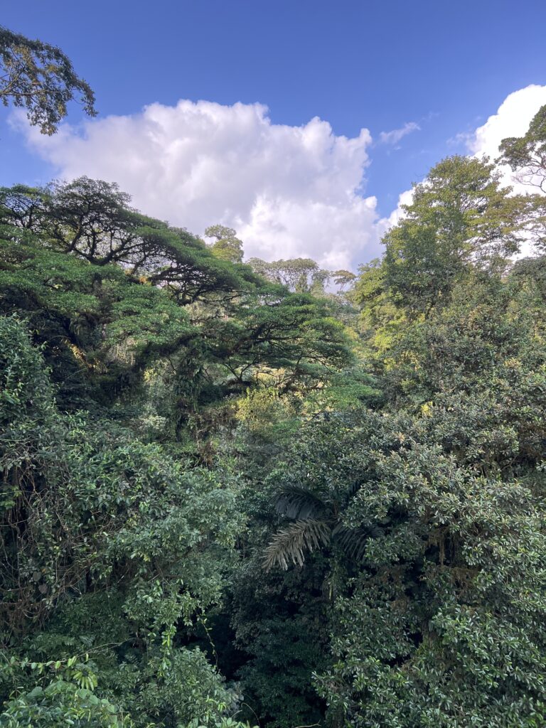 things to do in costa rica in april