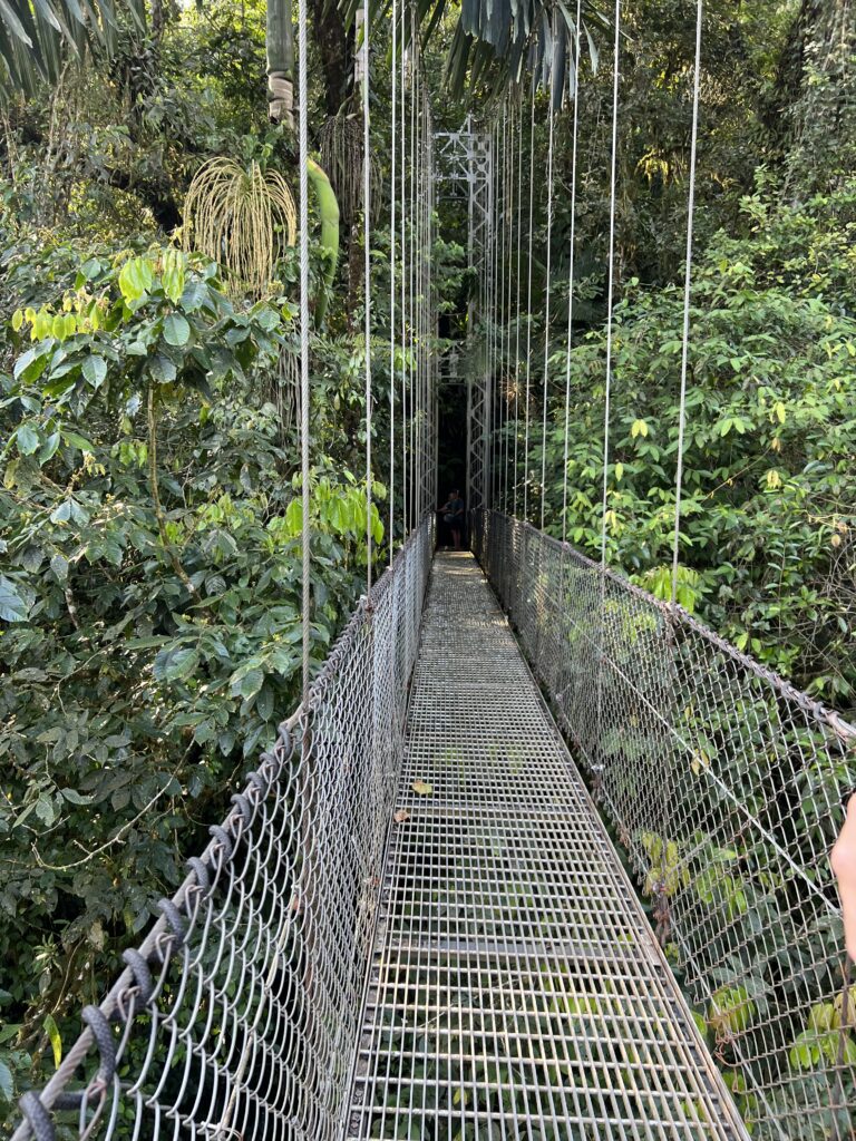 things to do in costa rica in march