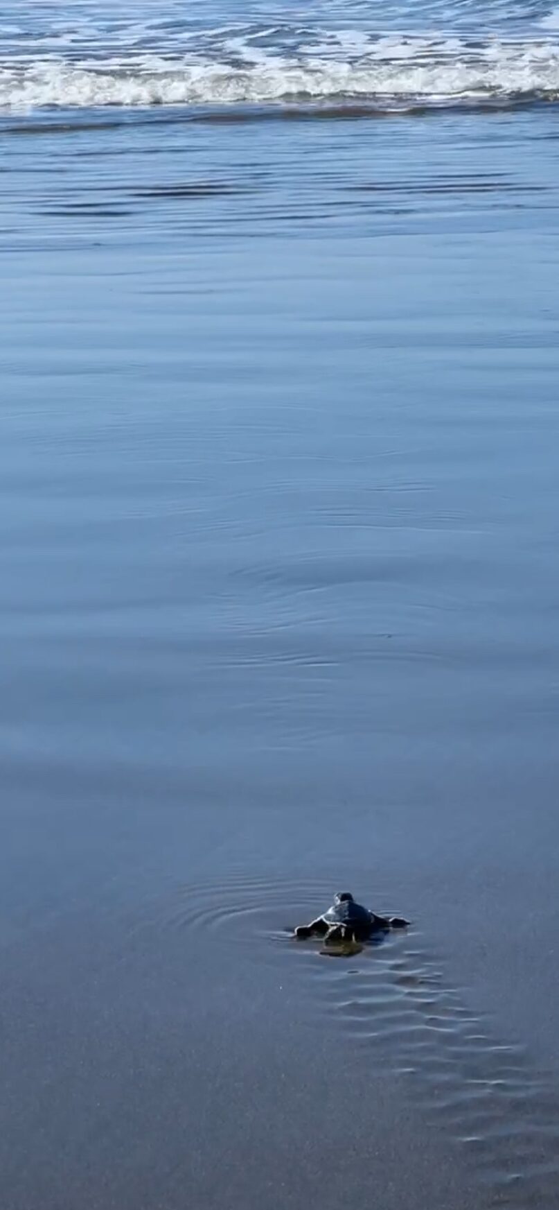 things to do in costa rica in may