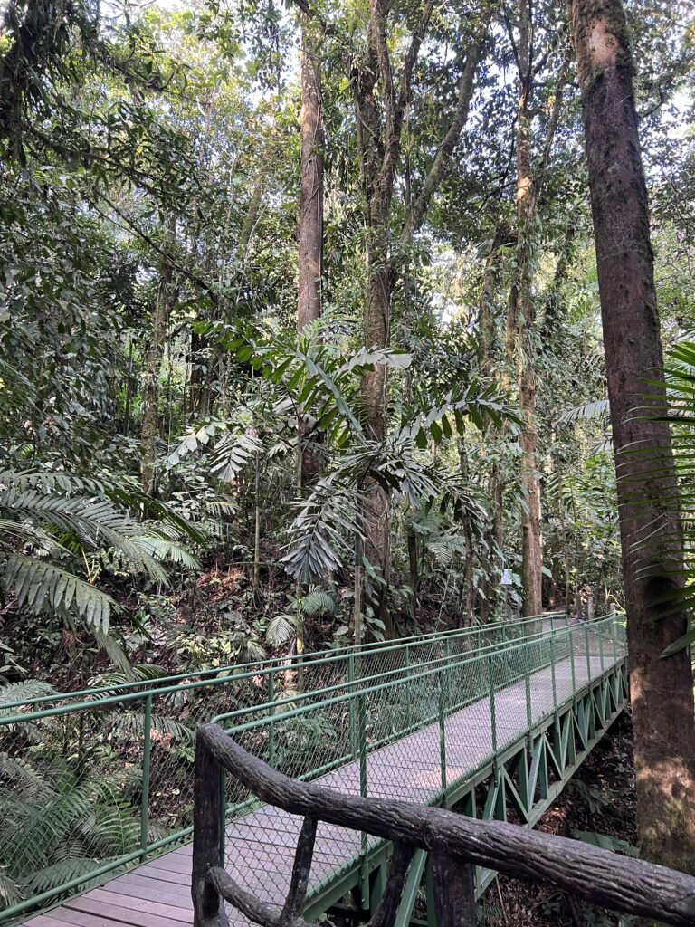 things to do in costa rica reddit