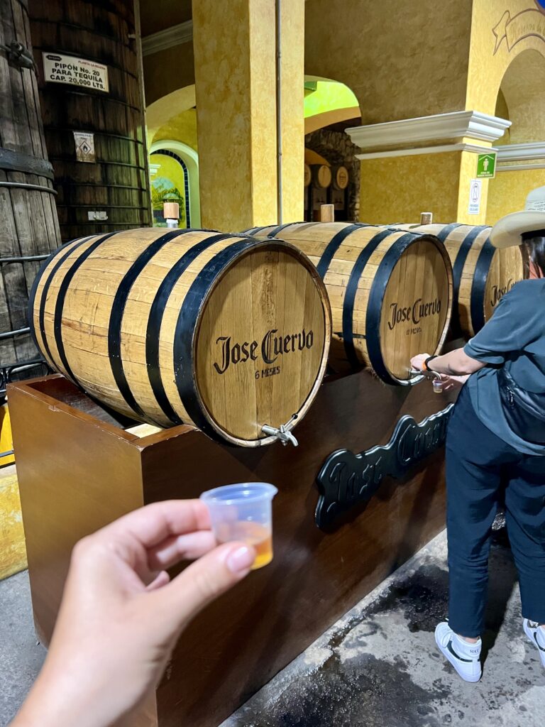 hotel tequila mexico