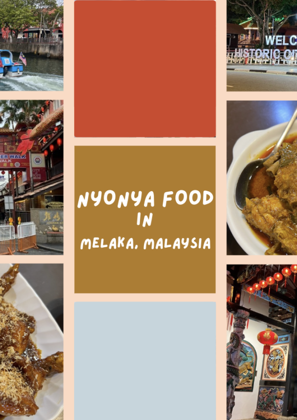 nyonya food