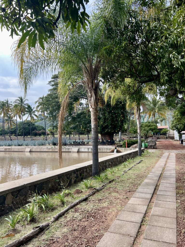 tequila mexico hotels