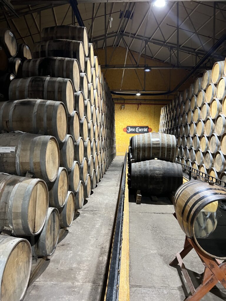 tequila mexico jalisco