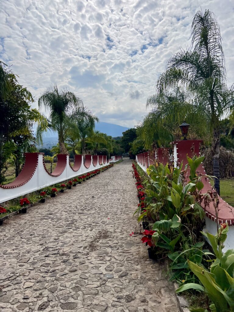 tequila mexico tours