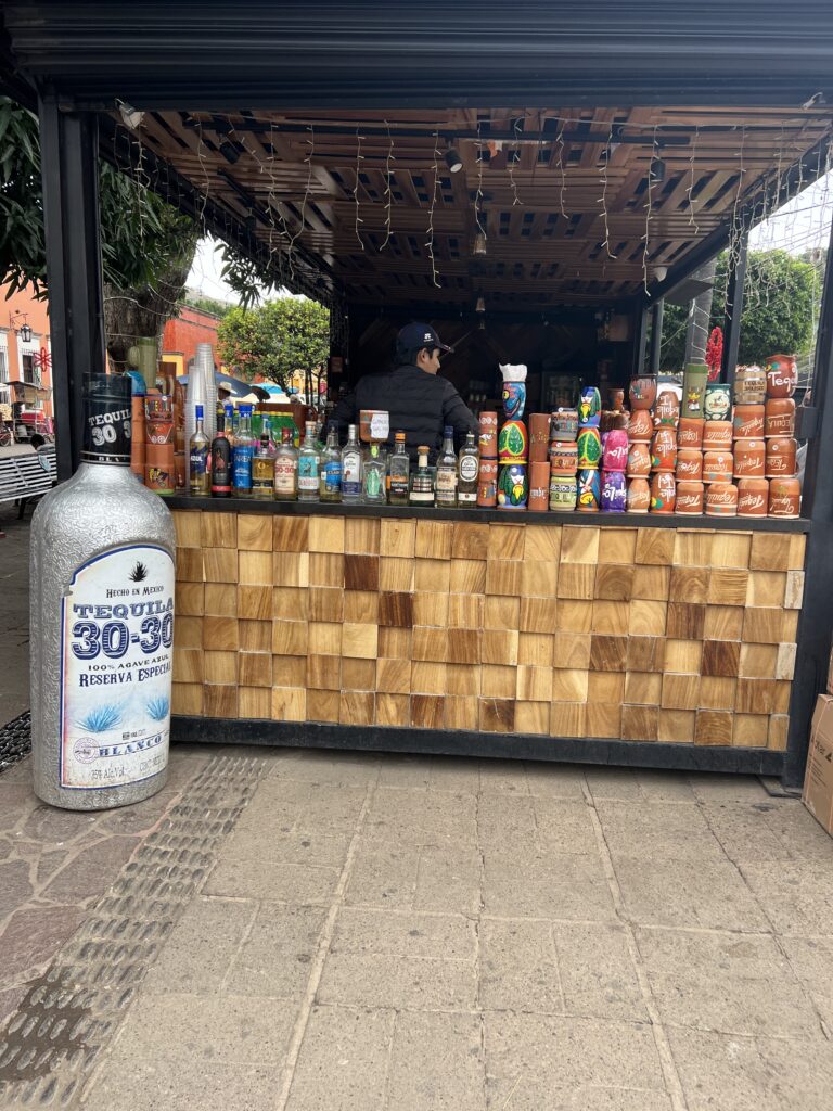 things to do in tequila mexico