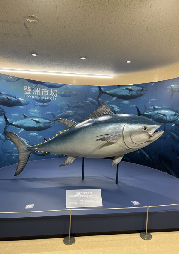 How to Visit Tokyo’s Legendary Tuna Auction (+ Tickets!)