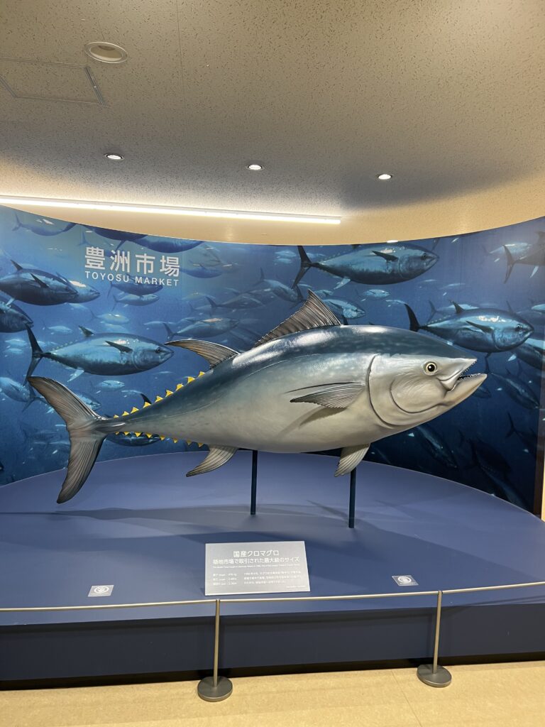 tuna auction tuna auction reddit