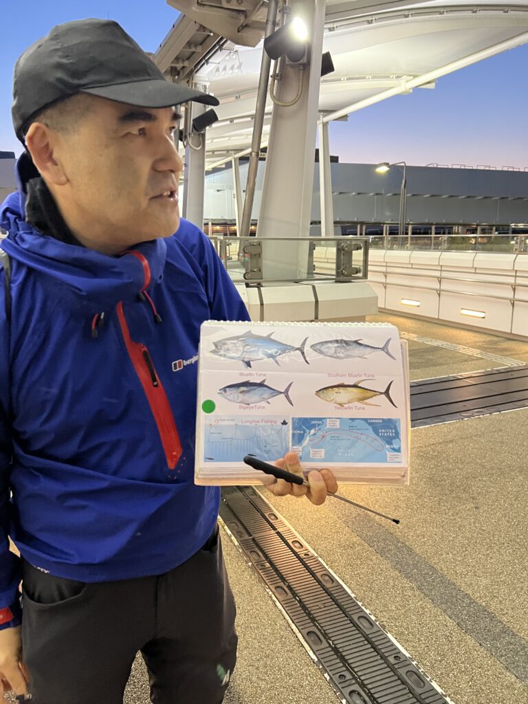 tuna auction tuna auction tokyo reddit