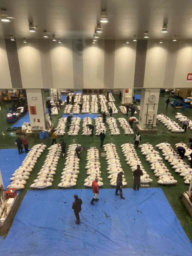 tuna auction tuna auction toyosu