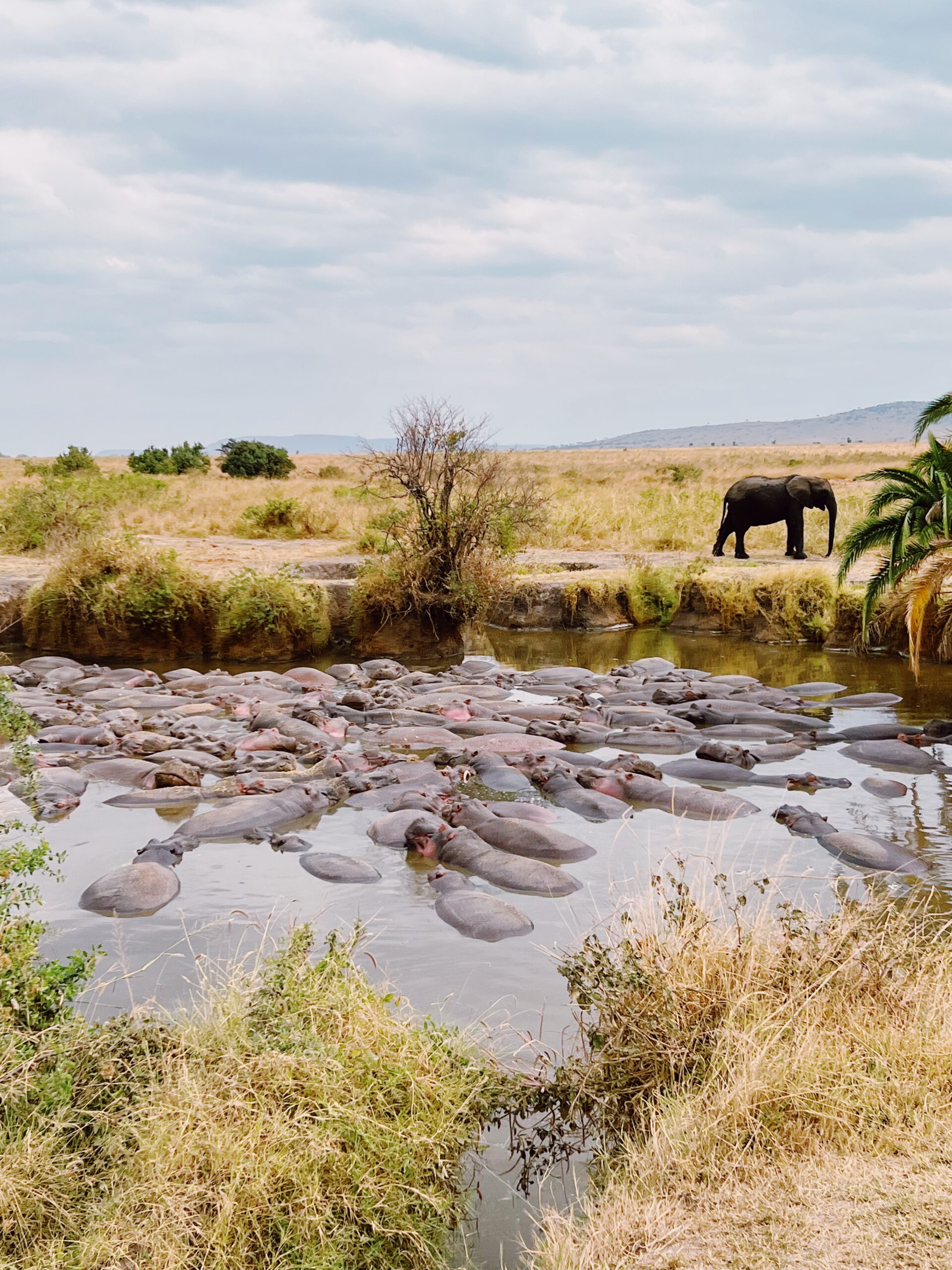 what to pack for safari in tanzania