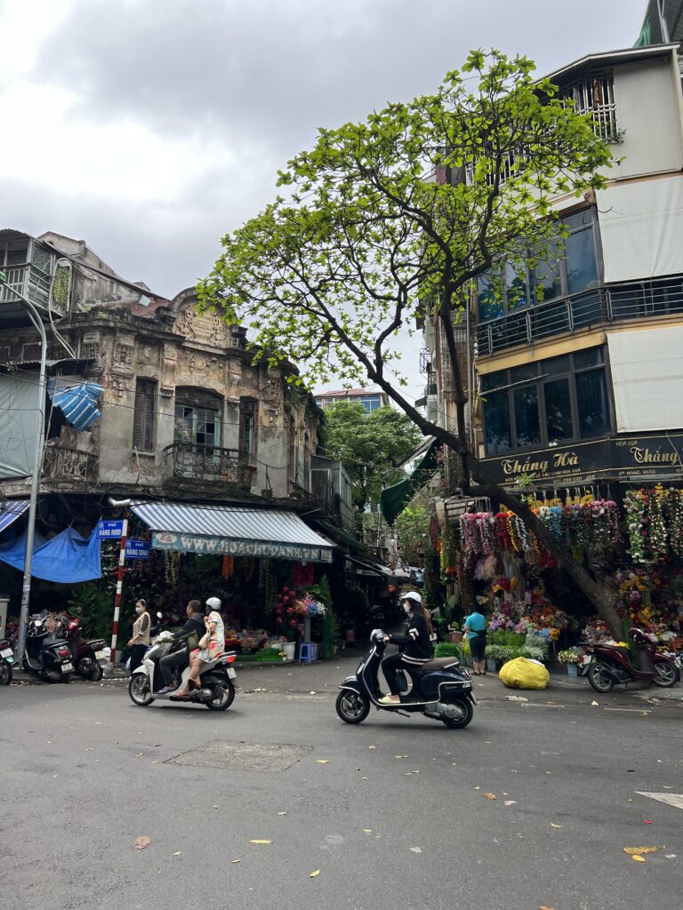 banh mi in hanoi best banh mi hanoi
