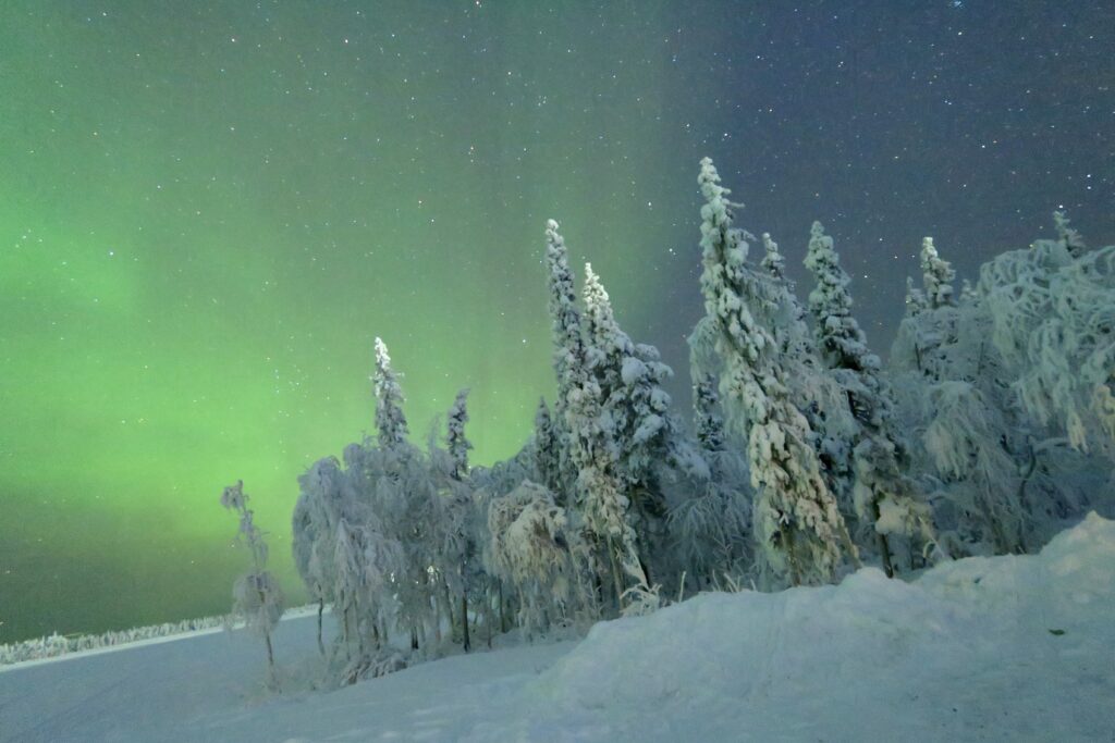 places to visit during christmas in usa